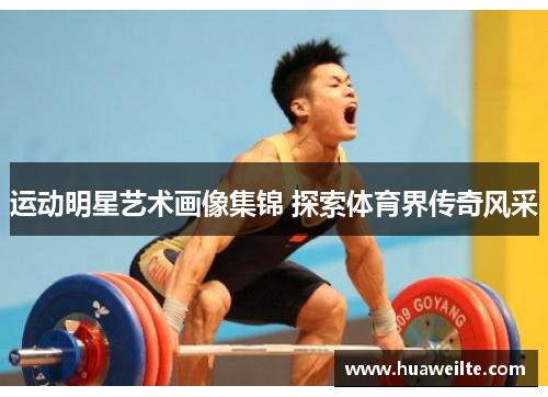 运动明星艺术画像集锦 探索体育界传奇风采