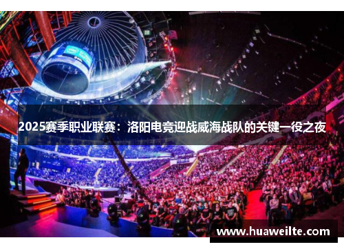 2025赛季职业联赛：洛阳电竞迎战威海战队的关键一役之夜